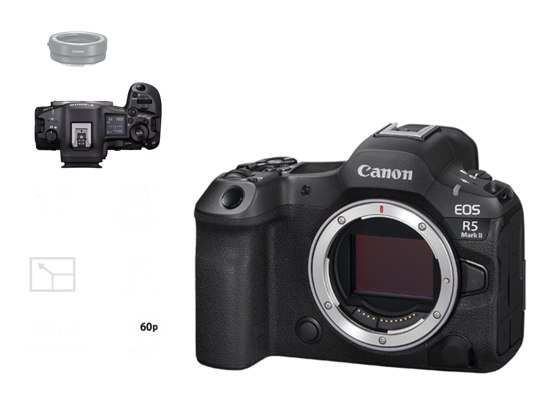 Canon R5 Mark II - Canon Authorized Canada dealer